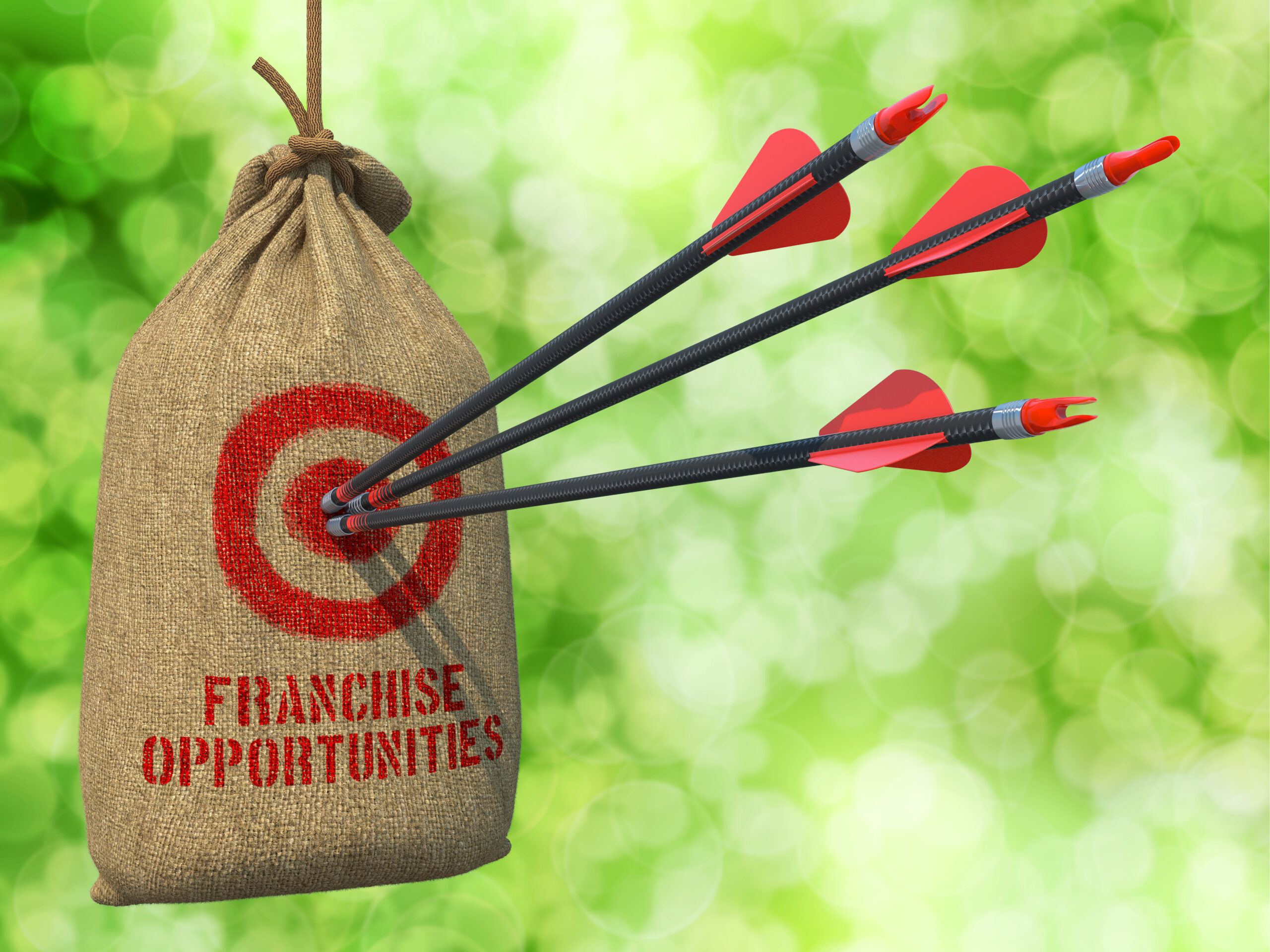 Are you ready to invest in a franchise?
