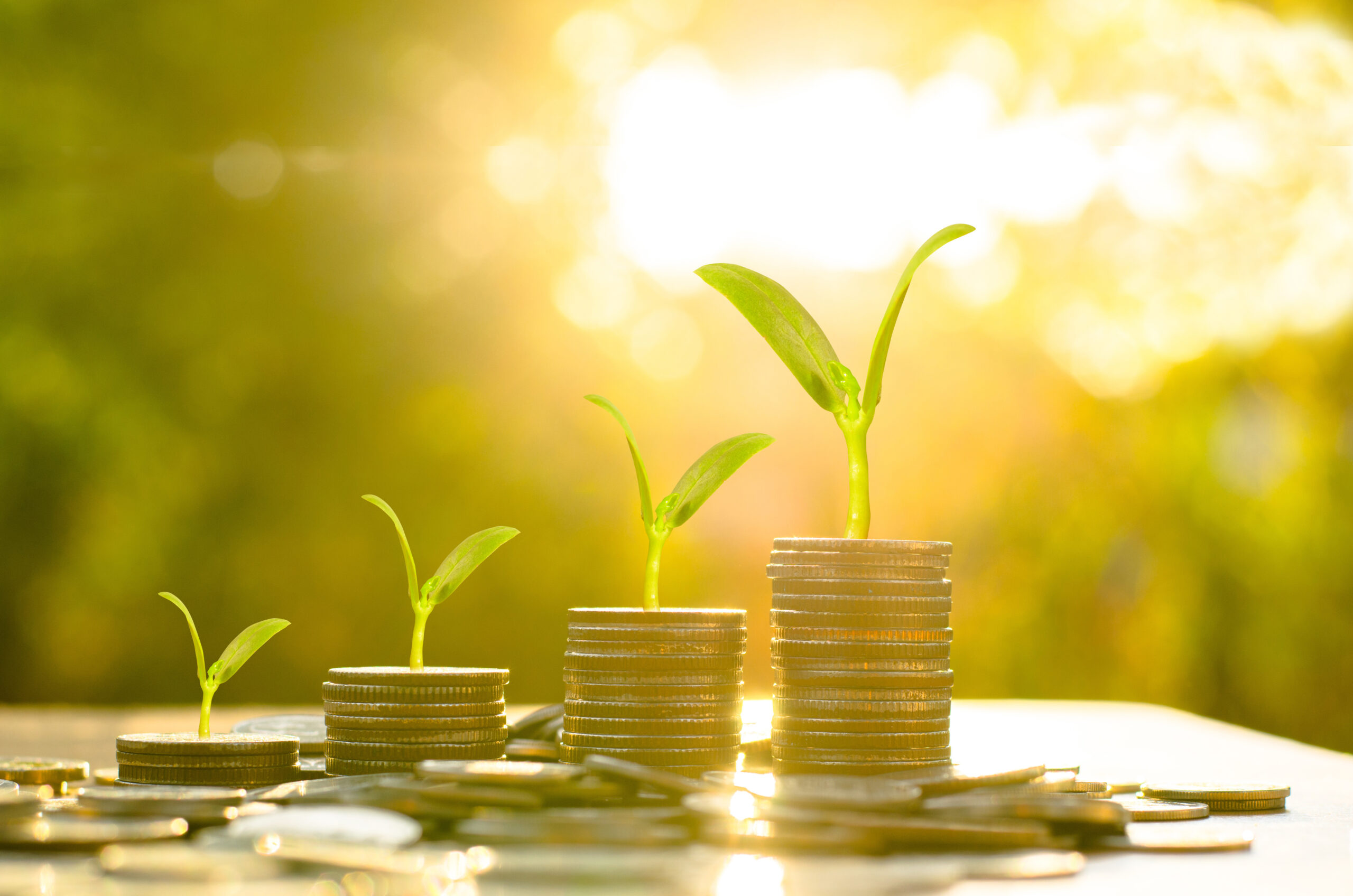 There are many options for raising growth finance in today's market