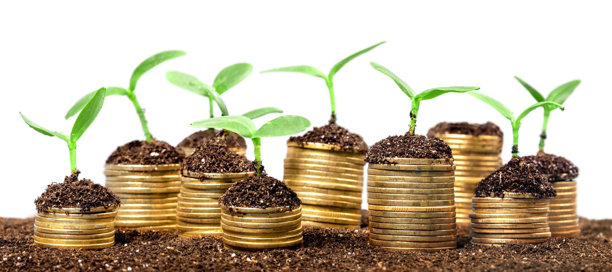 Government schemes can help SMEs get the boost they need from private investments
