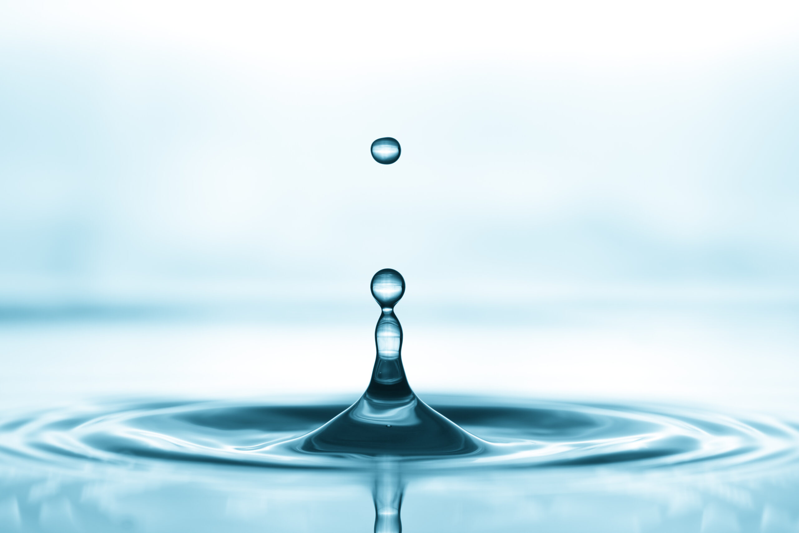 Only one in three businesses have access to enough information about the impacts of water deregulation