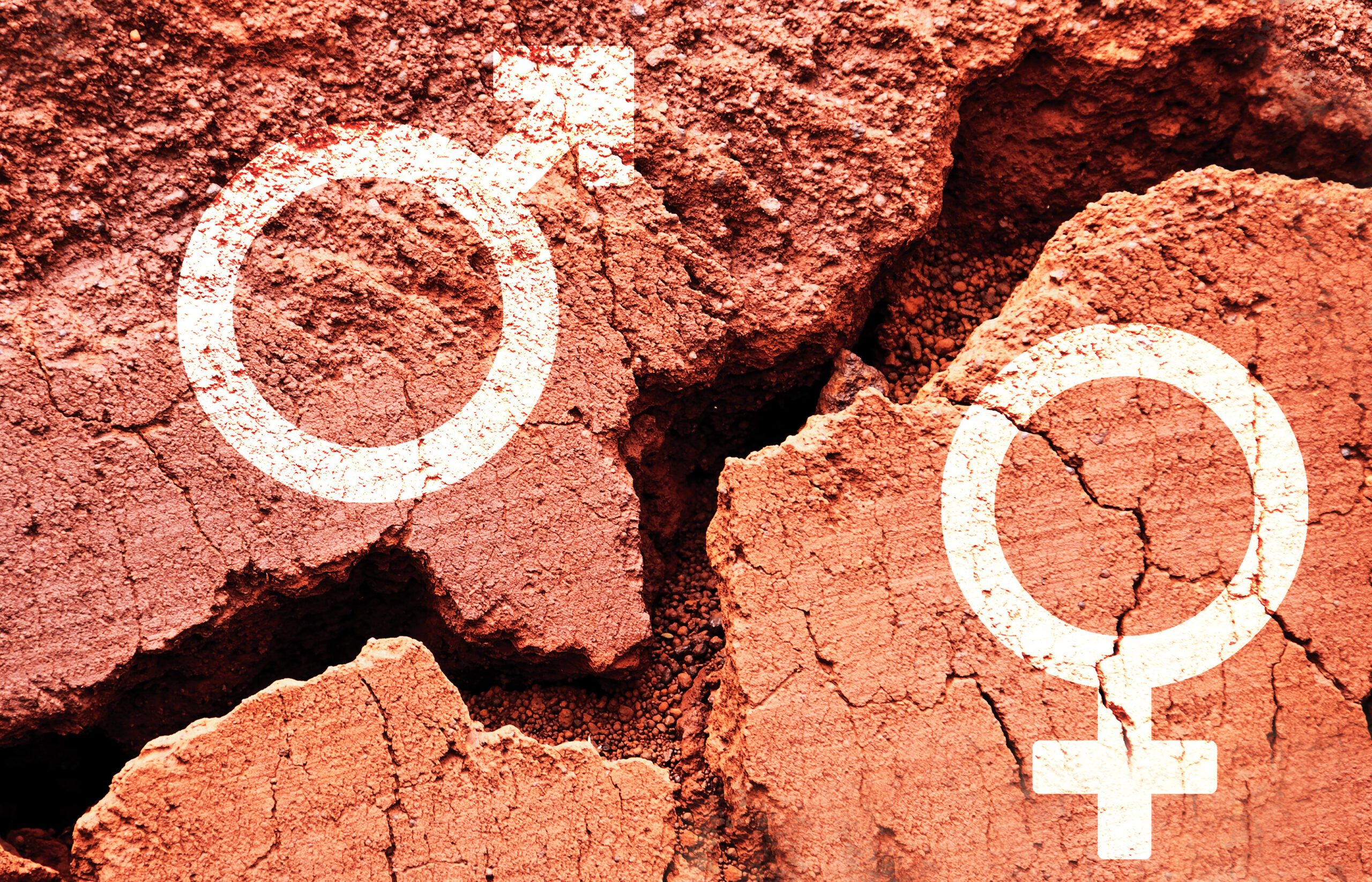 Three-quarters believe senior male leaders have a responsibility to support the career development of women and eliminate gender discrimination
