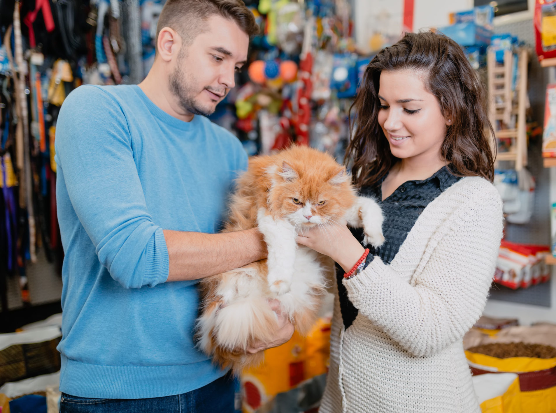 How to run a pet shop