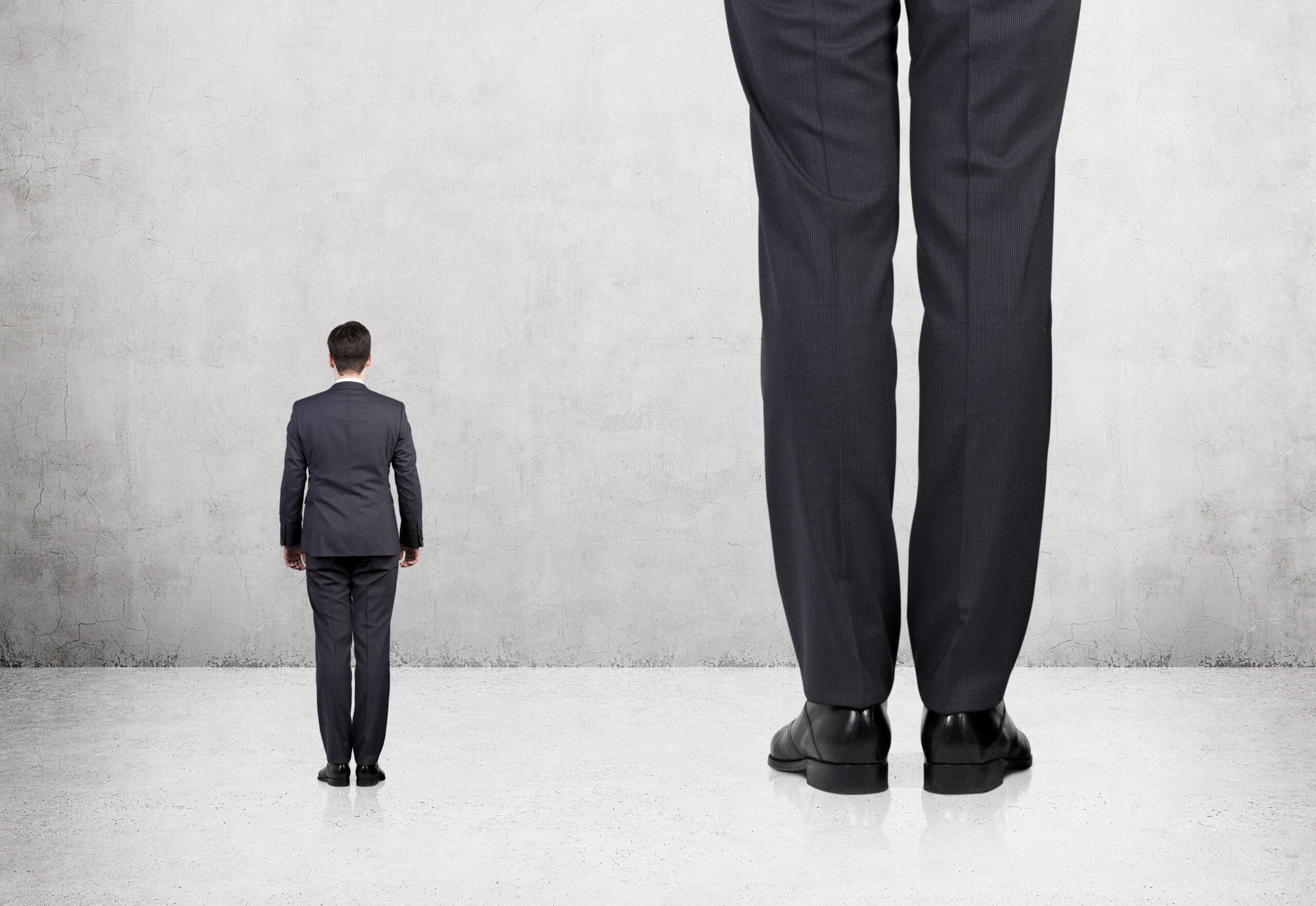 Large Me Small Making the transition from the corporate world to an SME
