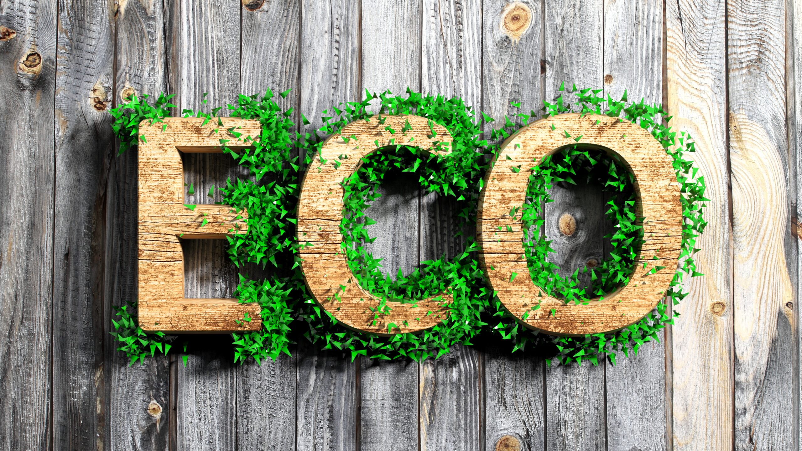 Responsible business owners are committing to protecting and preserving the planet