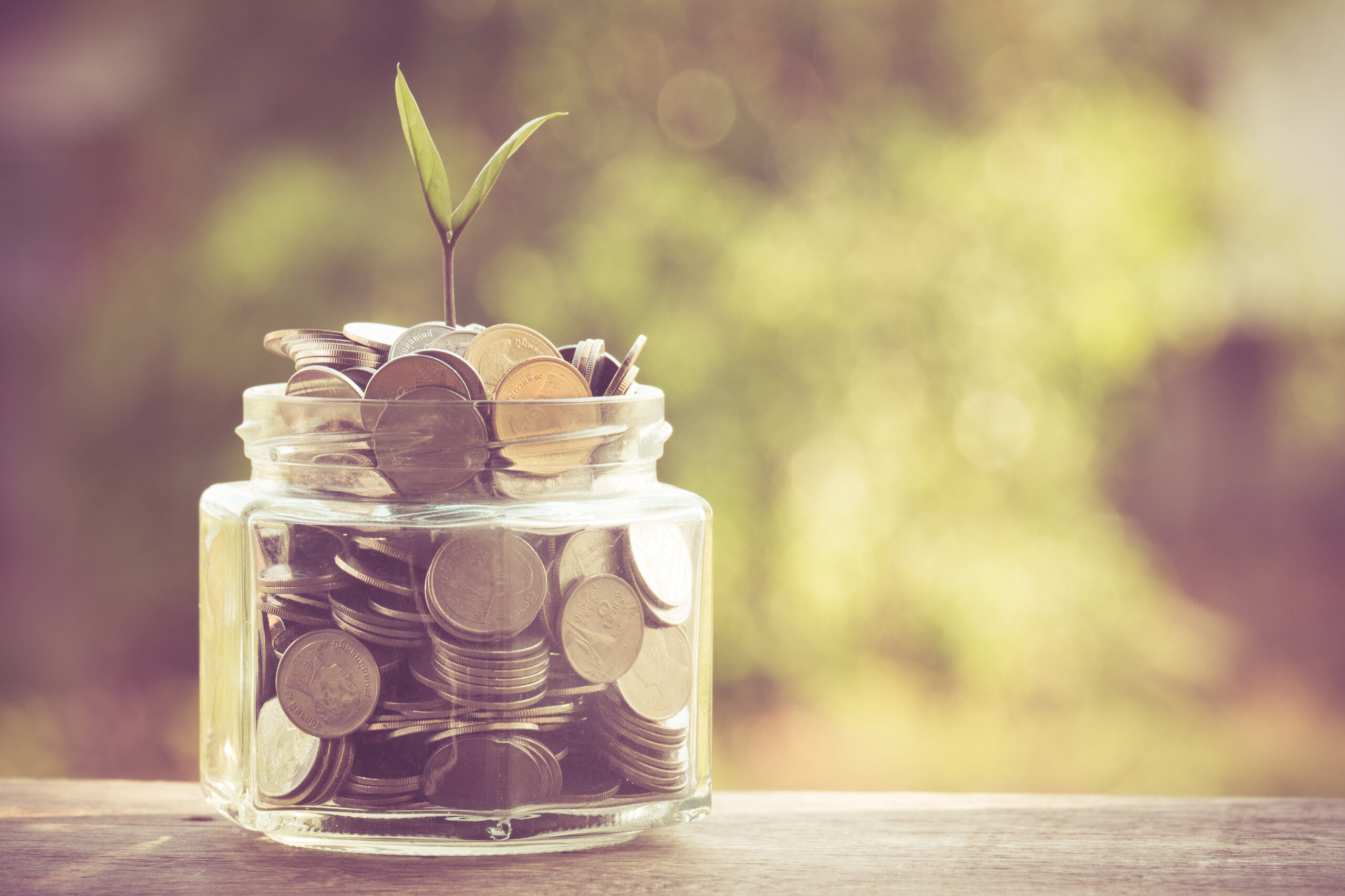 Fewer small businesses expecting to grow this year compared to 2016 due to finance conditions