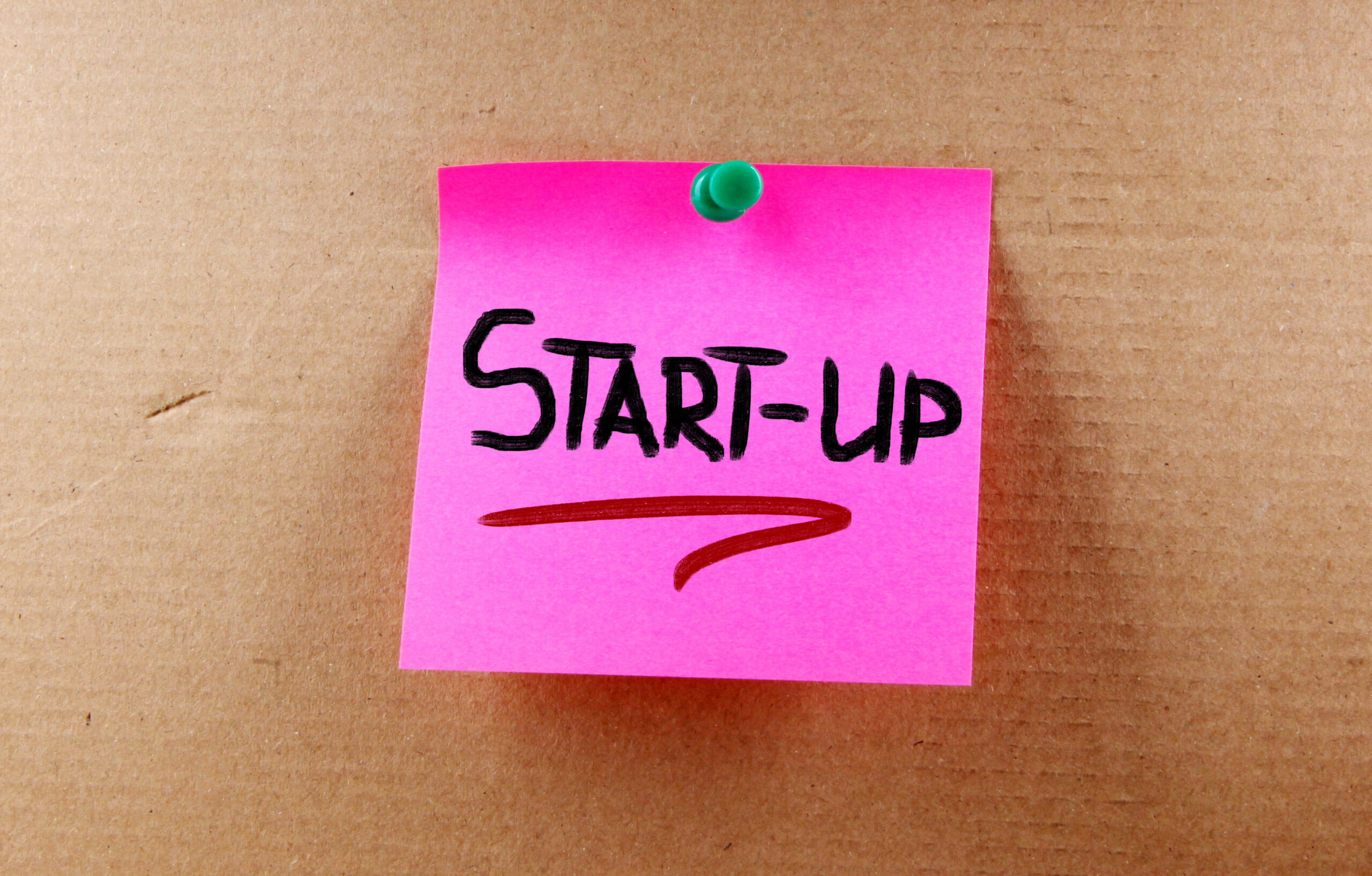 Nearly all entrepreneurs believe the budget would fail to support scale-up ambitions of businesses