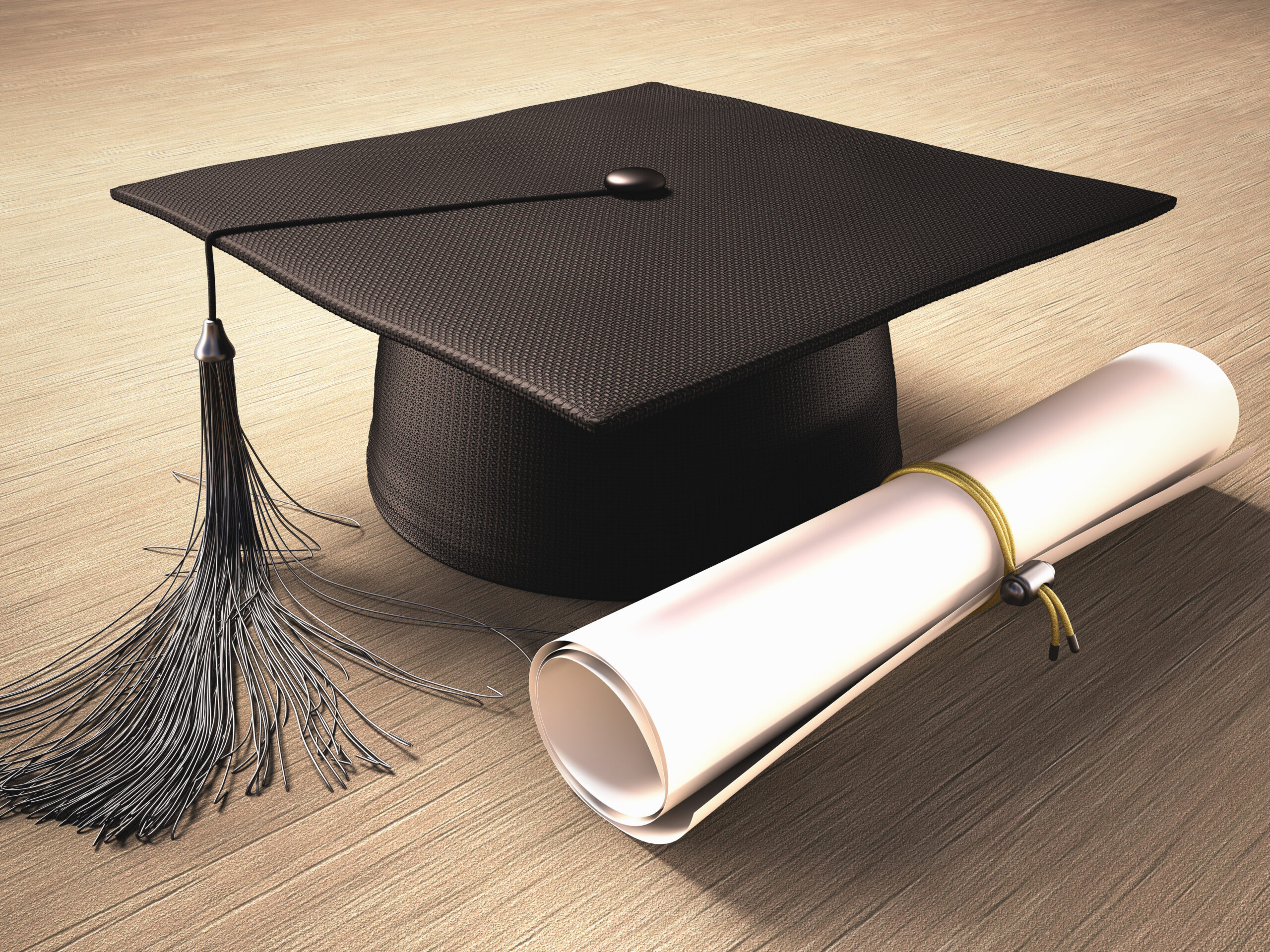 Only 33 per cent of those with a vocational qualification spent up to 6 months unemployed after finishing their degree