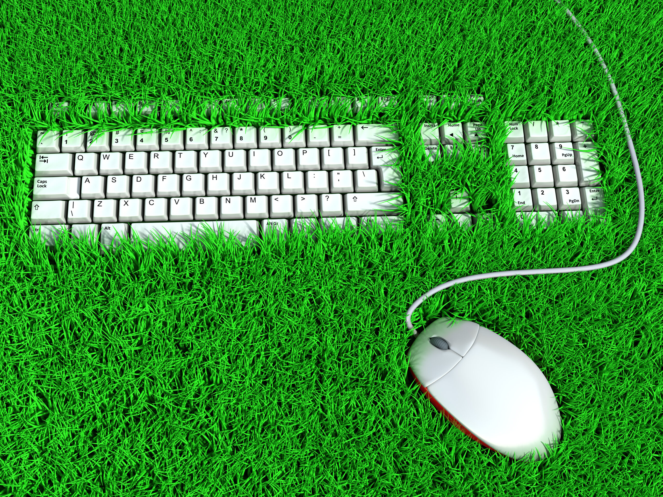 environmentally friendly small businesses