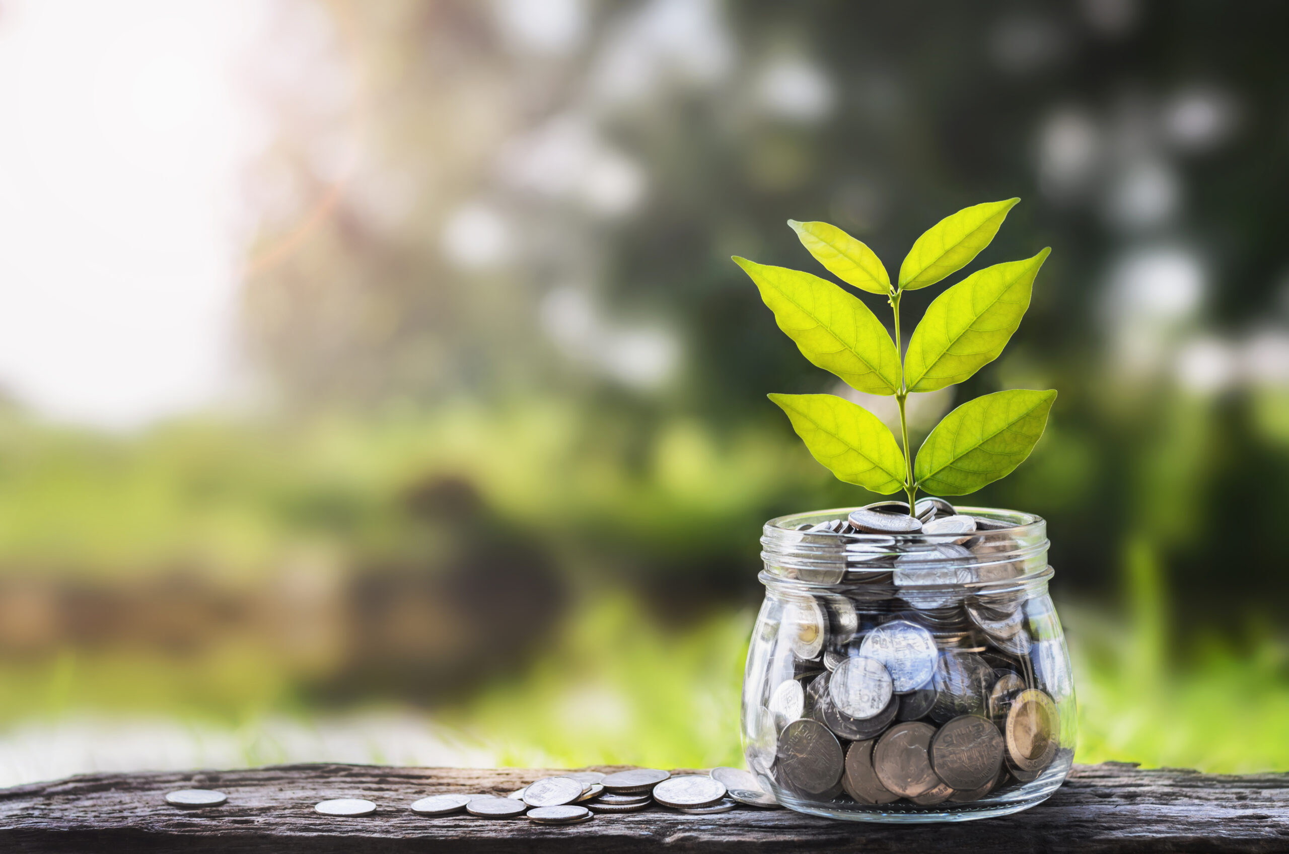 In order to ensure you aren’t part of the 55 per cent of startups that fail within the first five years you need to know how to attract investment