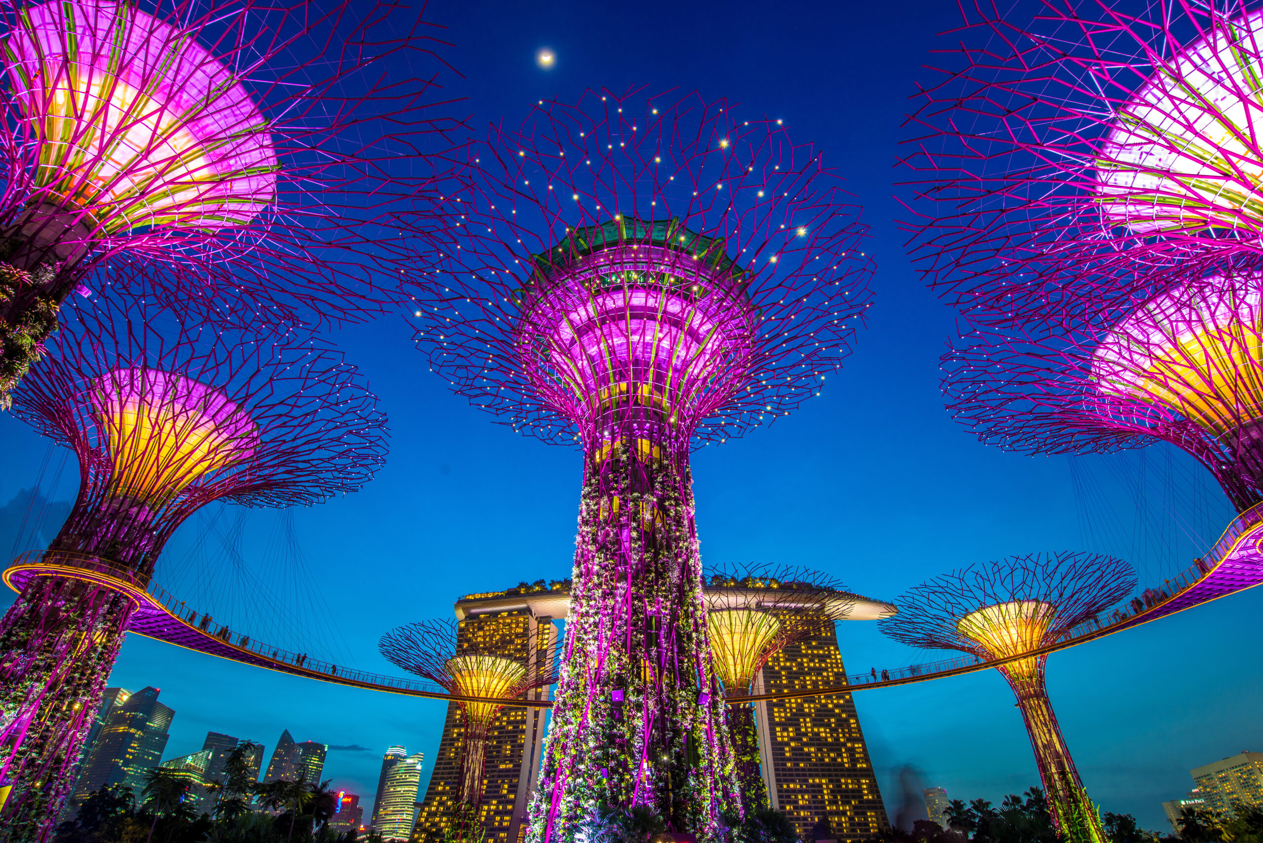 Businesses are looking to set up a hub in Singapore