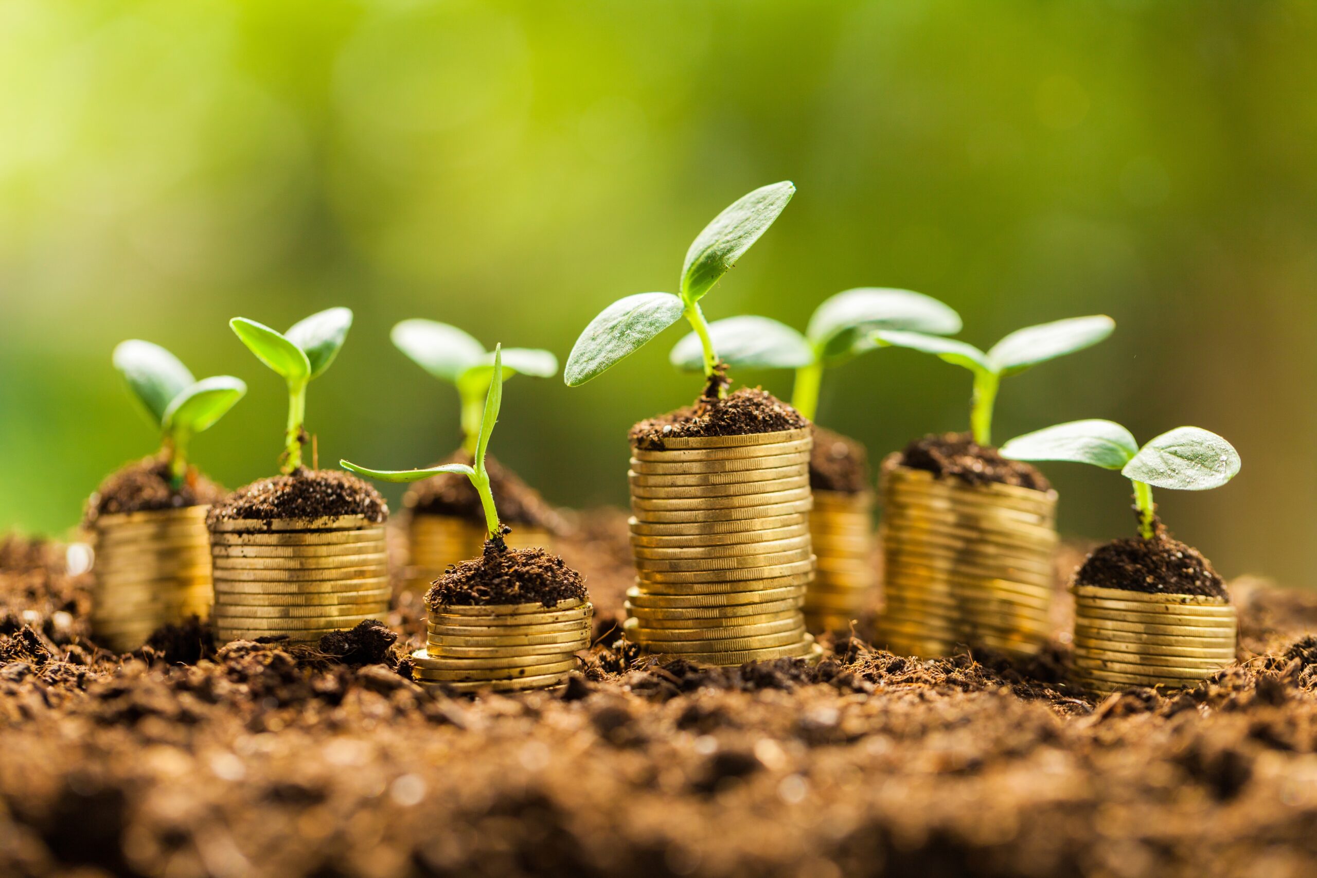Make sure you know exactly what your costs are in the early stages of business