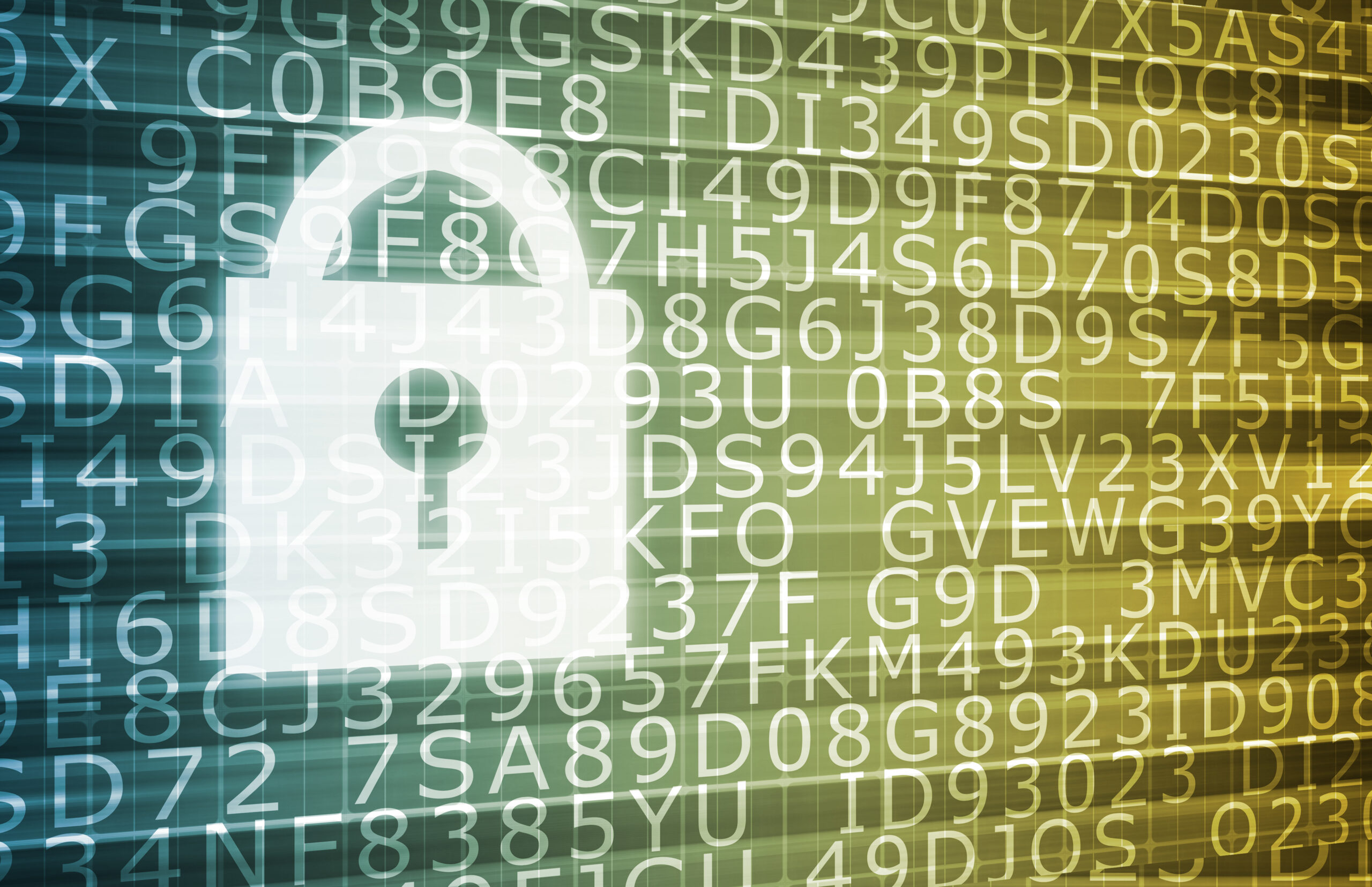 You can boost your business' cyber security with a 'Check and Change'