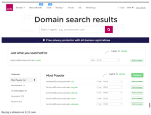 Domain search results