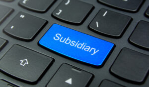 Should you set up a subsidiary company?