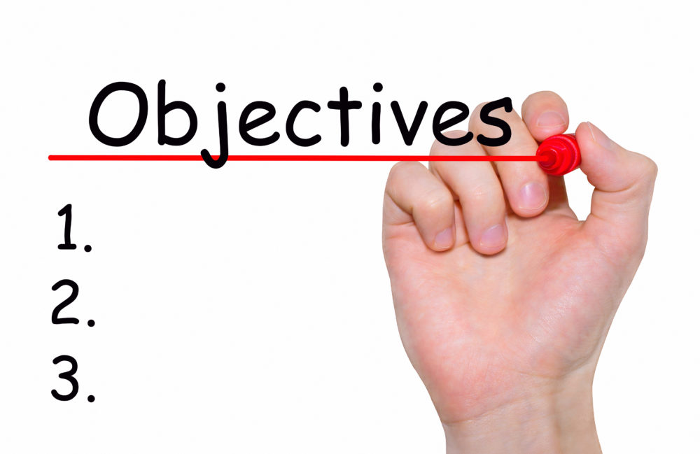 long term objectives in business plan