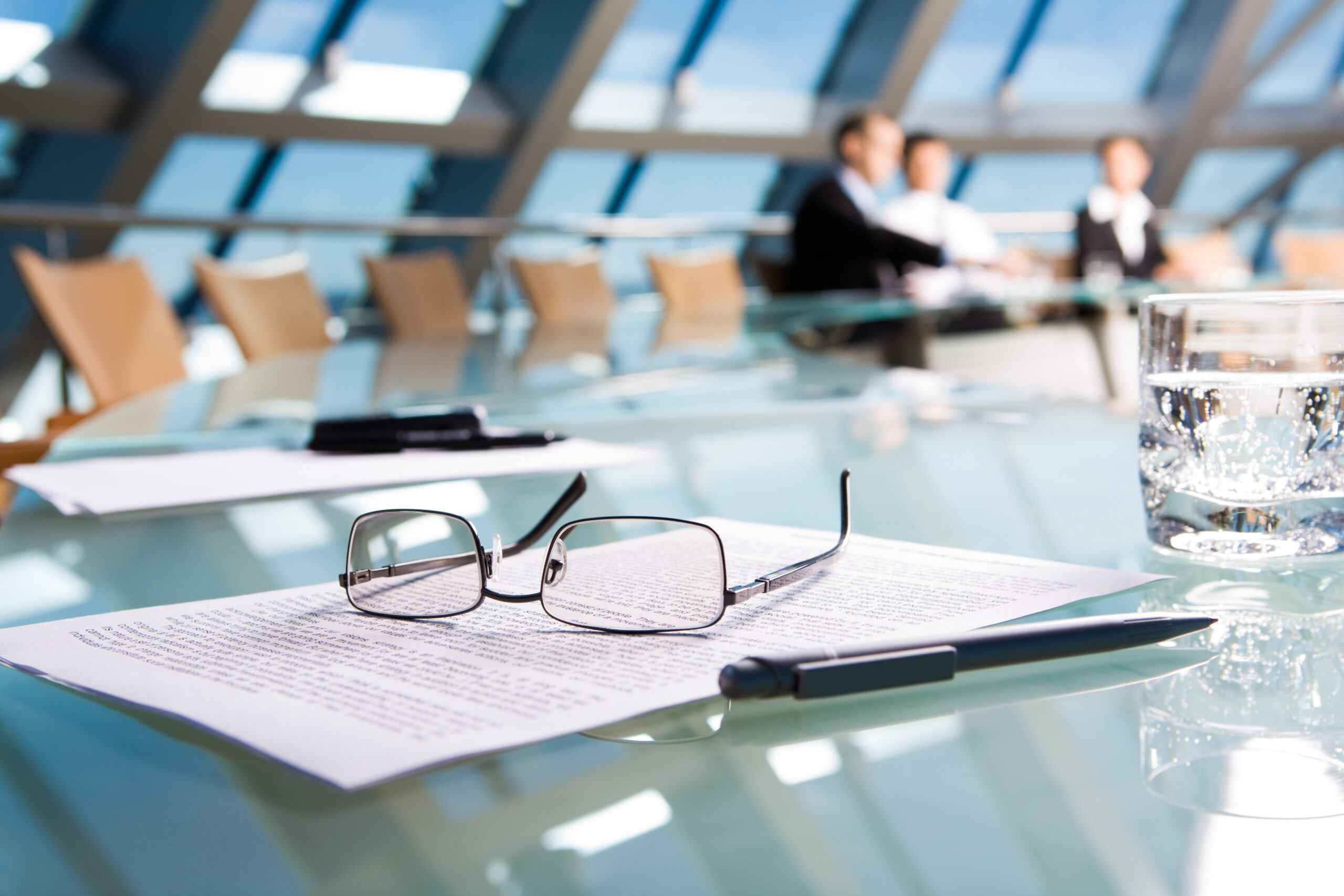 Company ownership: shareholders meeting