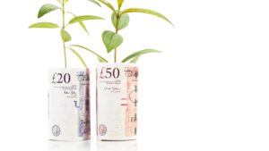 small business energy grants concept. Twenty and fifty-pound notes with plant shoots growing out of them